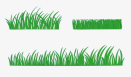 小草漫画,描绘生活百态，传递温馨情感