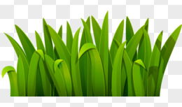 小草漫画,描绘生活百态，传递温馨情感